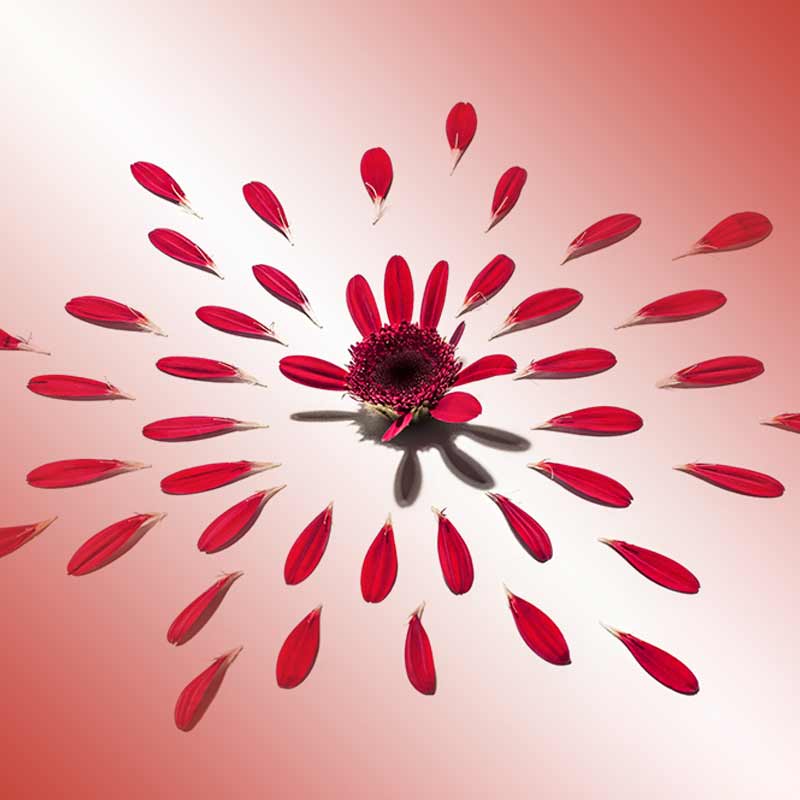 What Great Mentorship Looks Like in a Hybrid Workplace